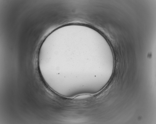 X0000116661367201001111241