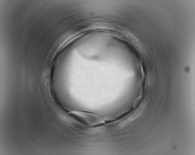 X0000116661369201001111241