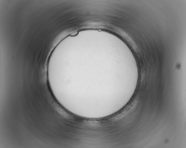 X0000116661370201001111241