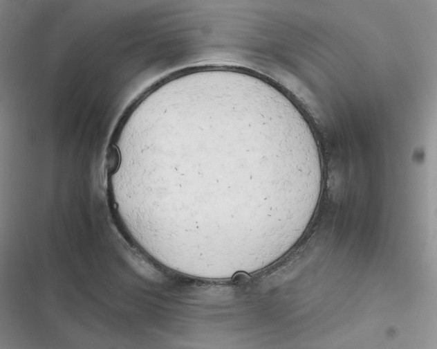 X0000116661372201001111241