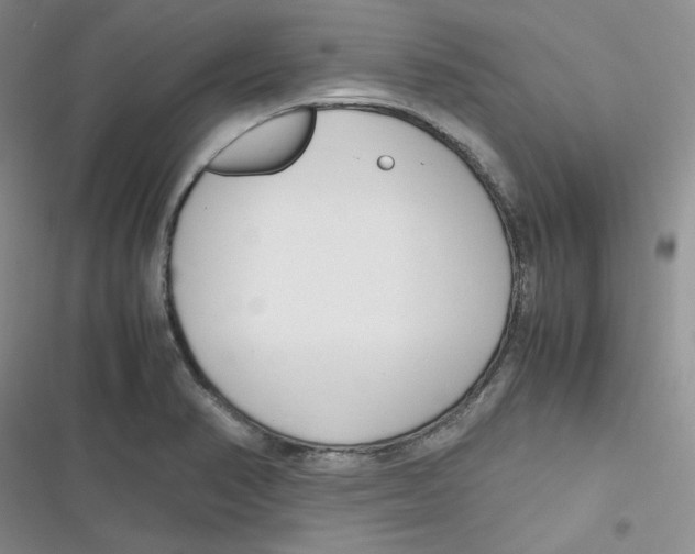 X0000116661374201001111241