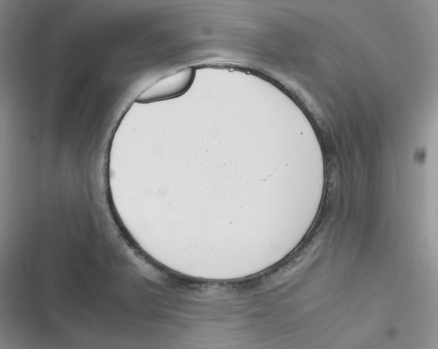 X0000116661375201001111241
