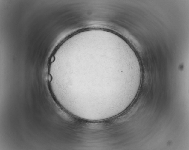X0000116661376201001111241