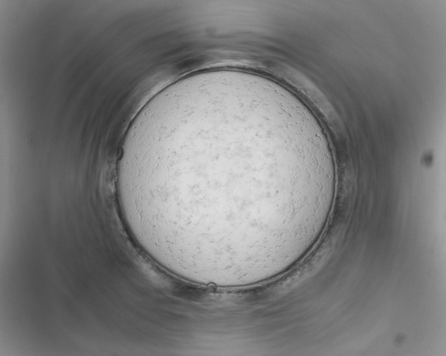 X0000116661377201001111241