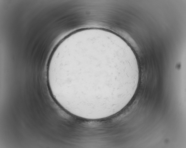 X0000116661380201001111241