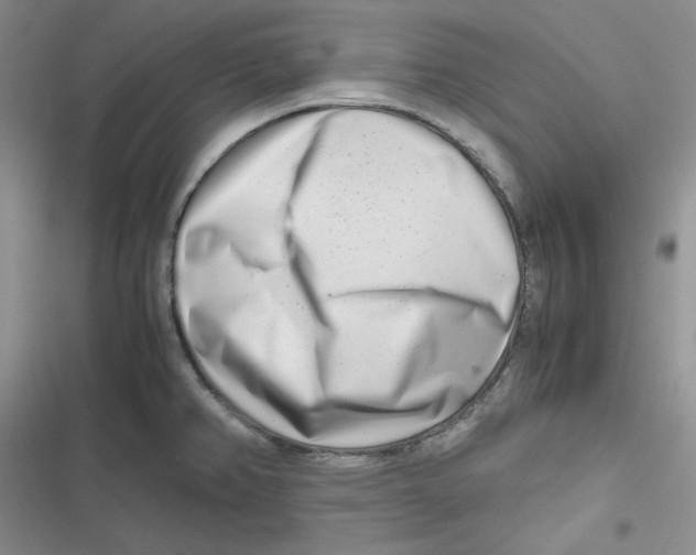 X0000116661382201001111241