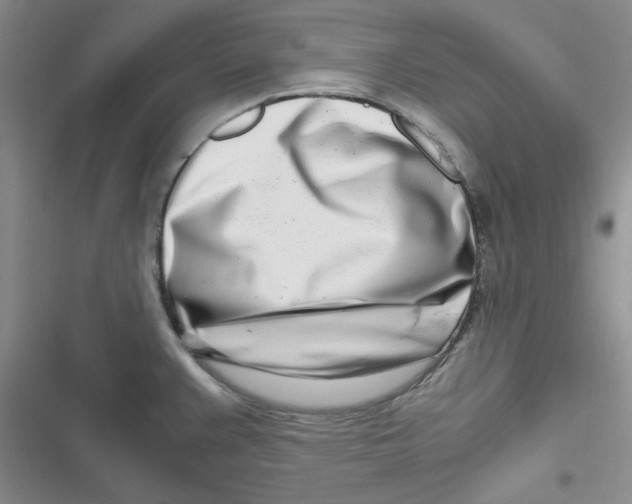 X0000116661383201001111241