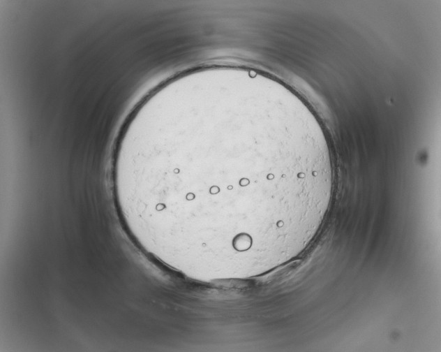 X0000116661384201001111241