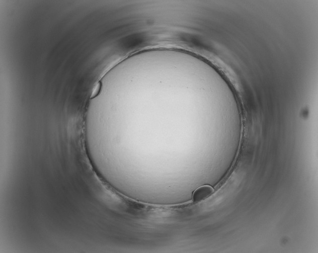 X0000116661385201001111241