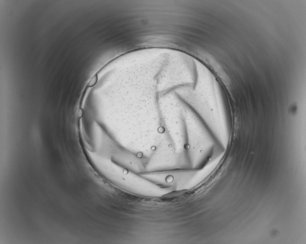 X0000116661386201001111241