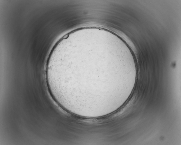 X0000116661388201001111241