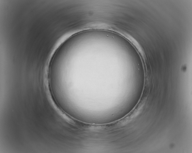 X0000116661389201001111241