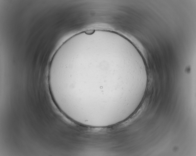 X0000116661390201001111241