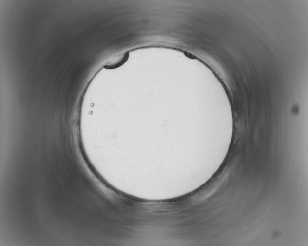 X0000116661391201001111241
