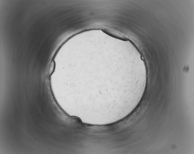 X0000116661392201001111241