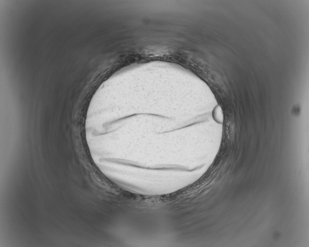X0000116661393201001111240