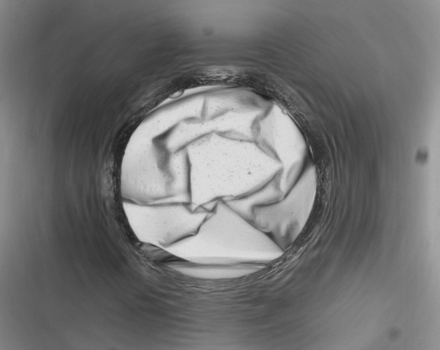 X0000116661394201001111240