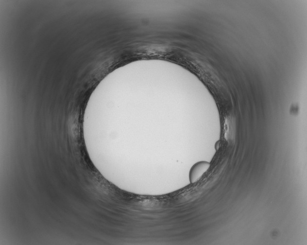 X0000116661395201001111240