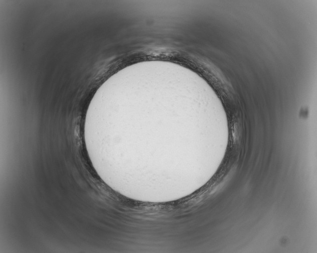 X0000116661396201001111240
