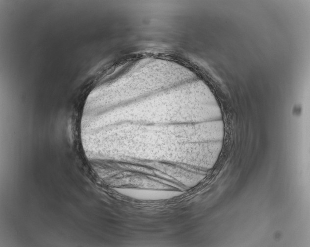 X0000116661399201001111240