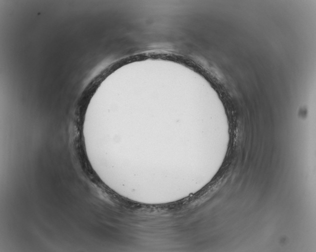 X0000116661400201001111240