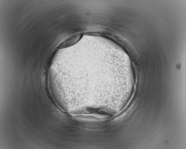 X0000116661401201001111240