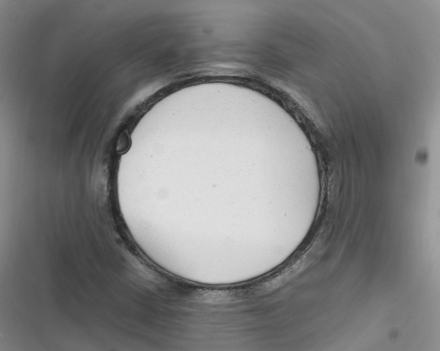 X0000116661402201001111240