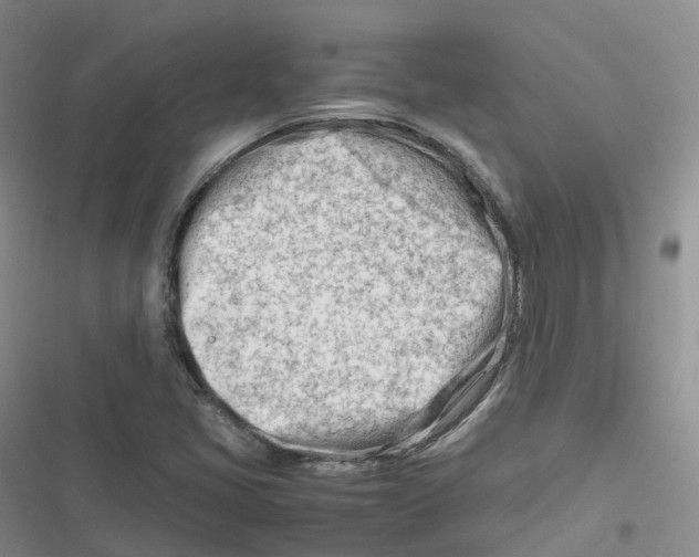 X0000116661405201001111240