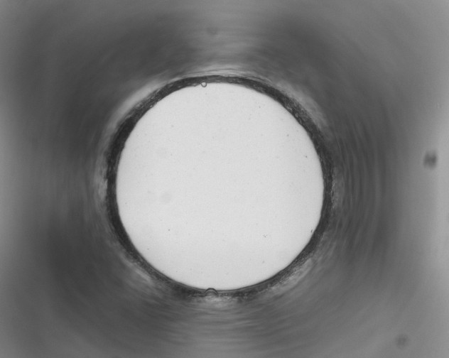 X0000116661406201001111240
