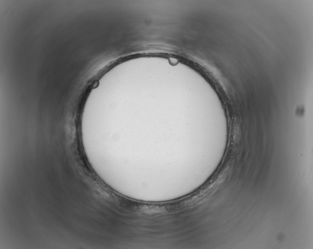 X0000116661407201001111240