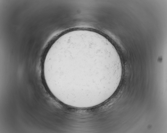 X0000116661408201001111240