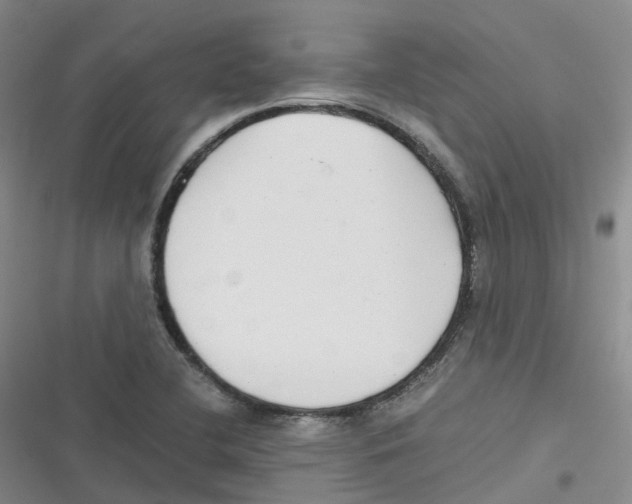 X0000116661412201001111240