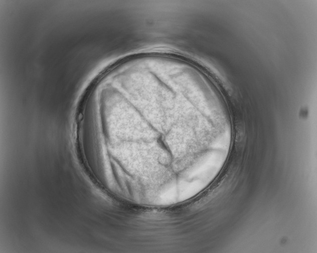 X0000116661414201001111240