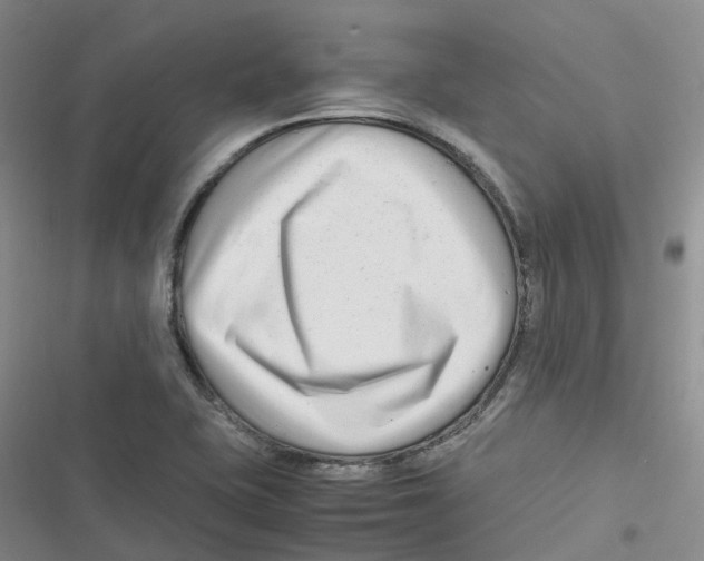 X0000116661415201001111240