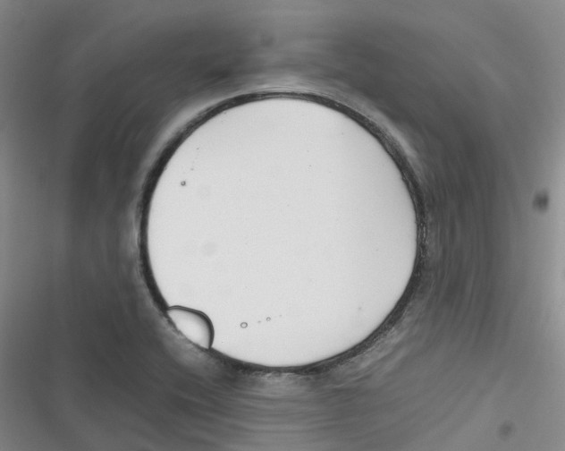 X0000116661416201001111240