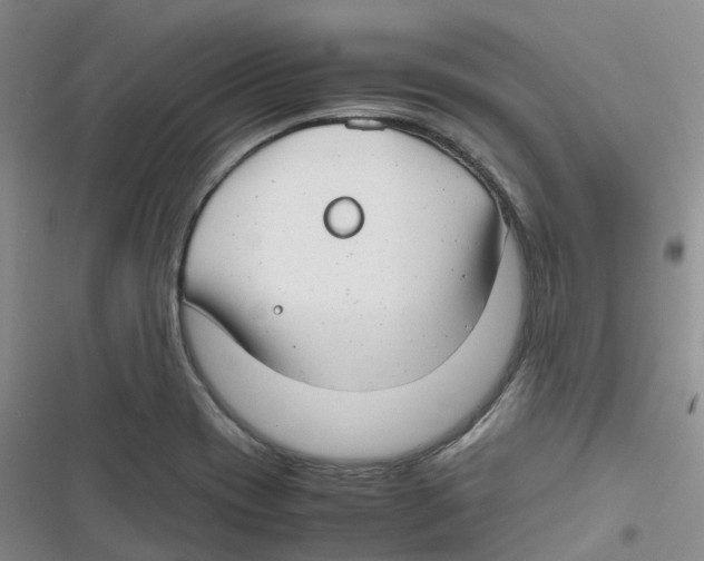 X0000116661417201001111240