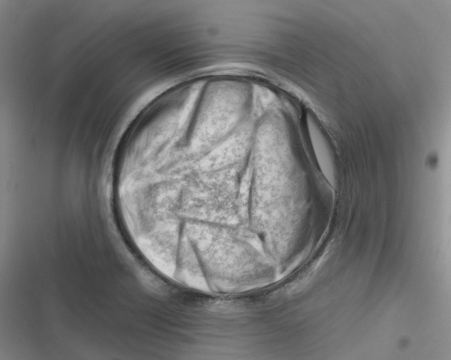 X0000116661418201001111240