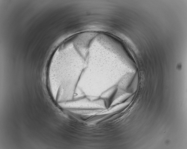 X0000116661419201001111240
