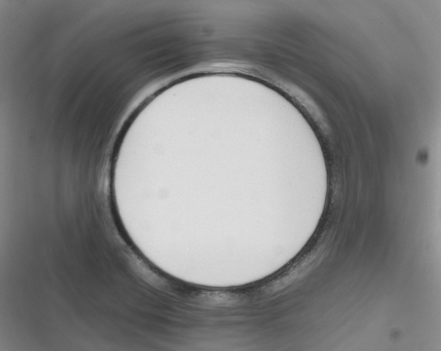 X0000116661420201001111240