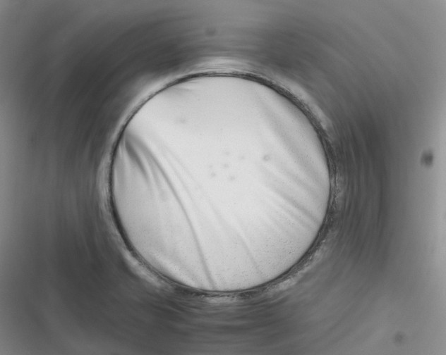 X0000116661421201001111240