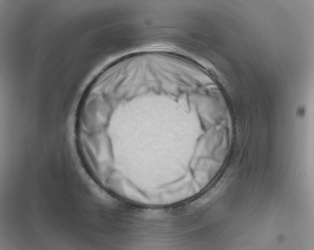 X0000116661422201001111240