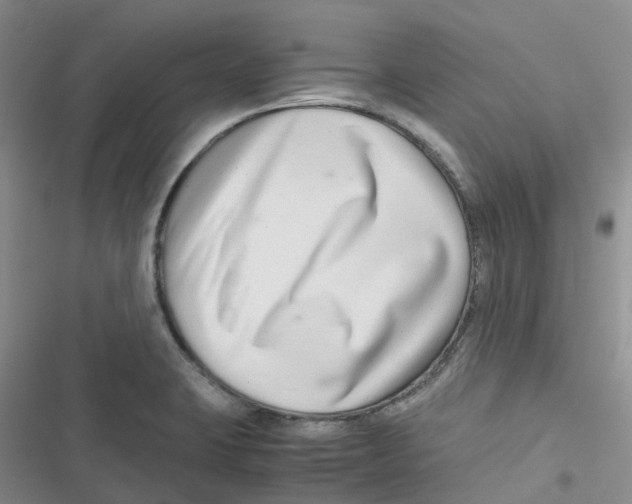 X0000116661423201001111240
