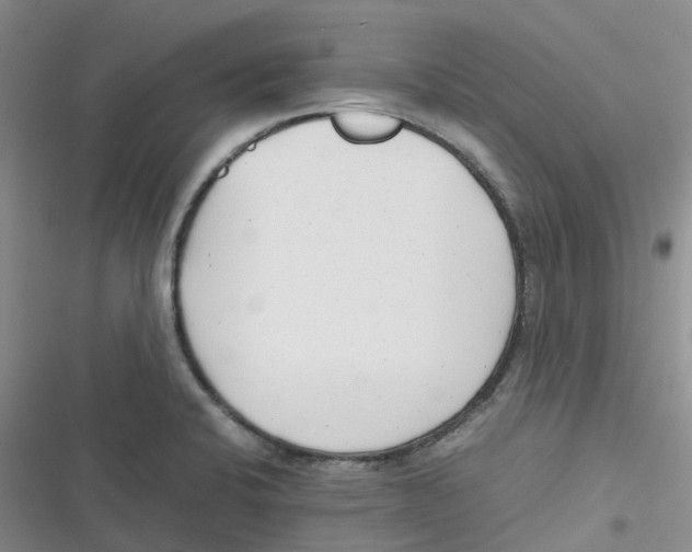 X0000116661424201001111240