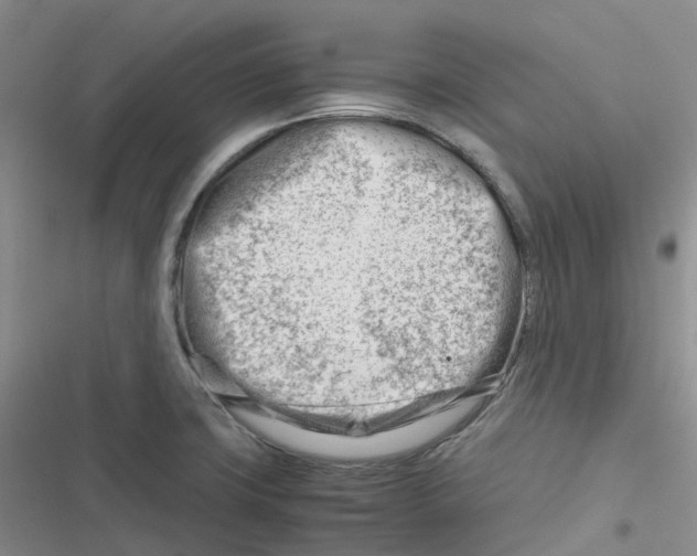 X0000116661427201001111240