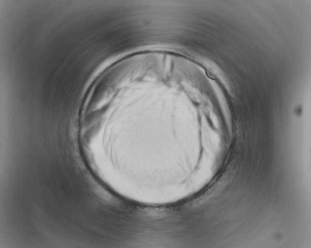 X0000116661428201001111240