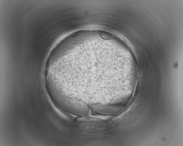 X0000116661429201001111240