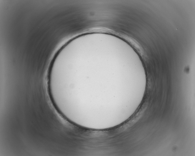 X0000116661430201001111240