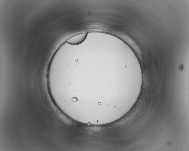 X0000116661431201001111240