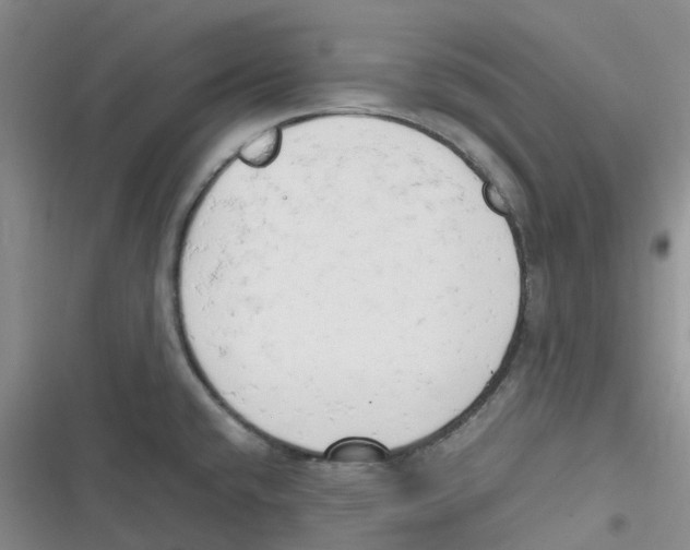 X0000116661432201001111240