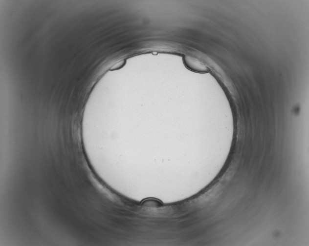 X0000116661433201001111241